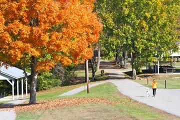 Barren River Lake State Resort Park Pet Policy