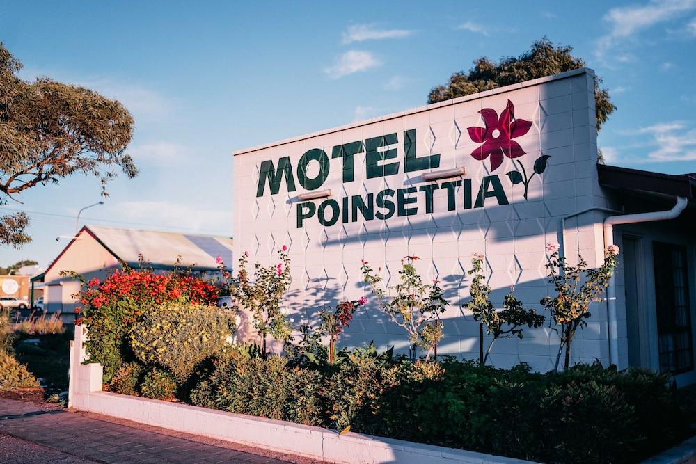 Pet Friendly Motel Poinsettia