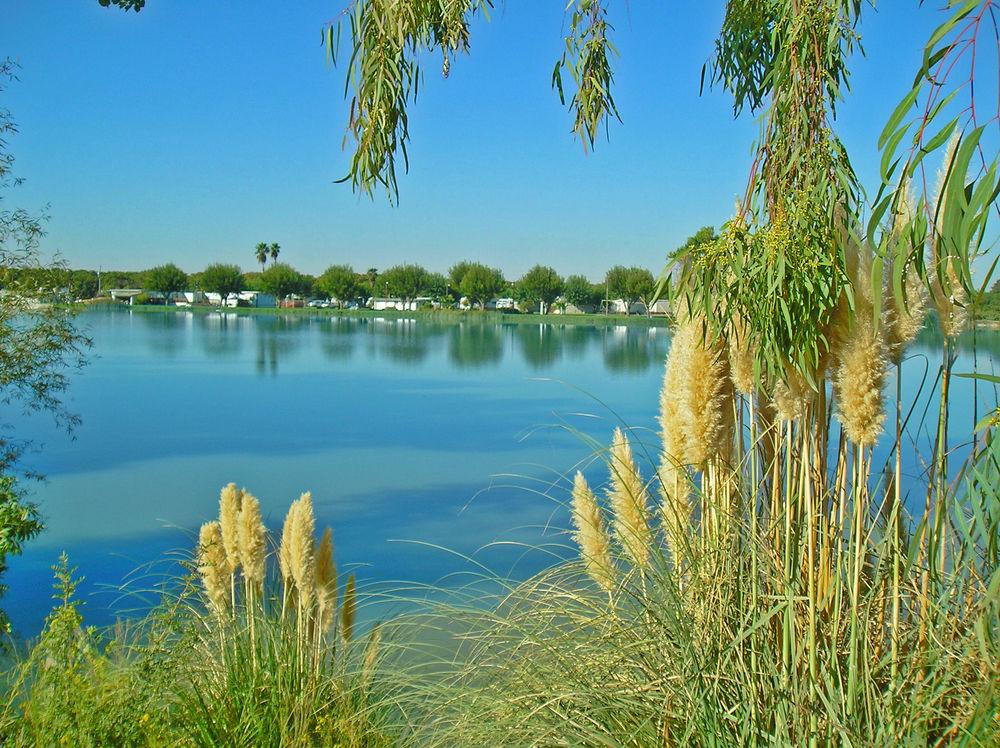 Pet Friendly Lake Minden RV Resort