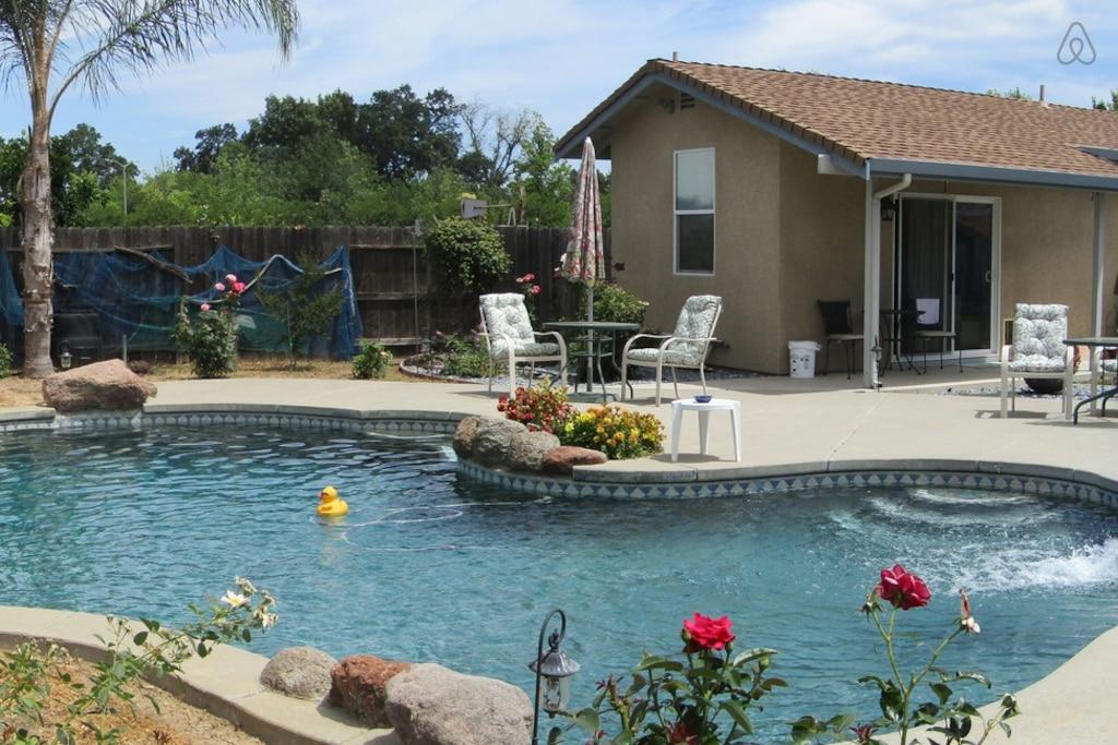 Pet Friendly Hotels In Yuba City Ca Bringfido