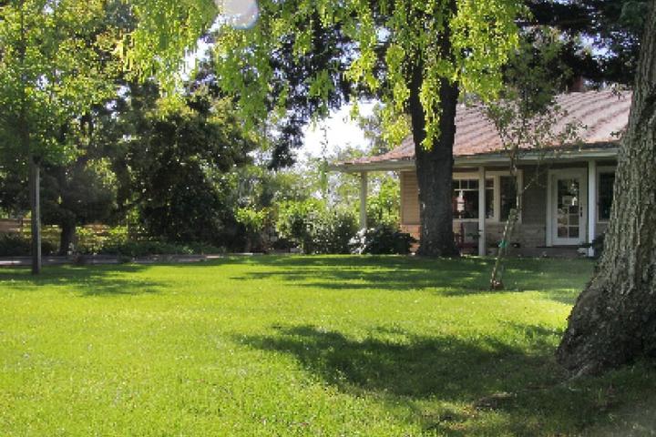 Pet Friendly 3 Cottages on Armstrong With Fenced Yards & Patio