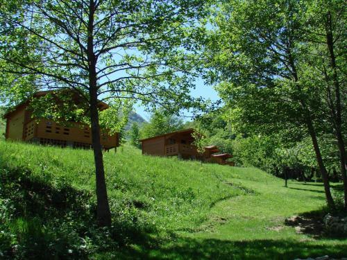 Pet Friendly Wood Cabins in the Heart of Transylvania