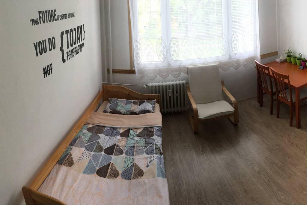 Pet Friendly Ceske Budejovice Airbnb Rentals