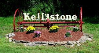 Pet Friendly Kellystone Park Campsites