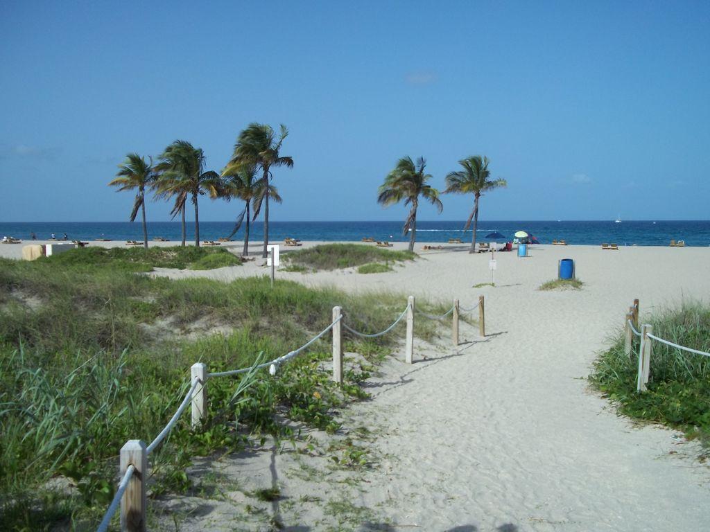 Seagrape Cottage Pet Policy