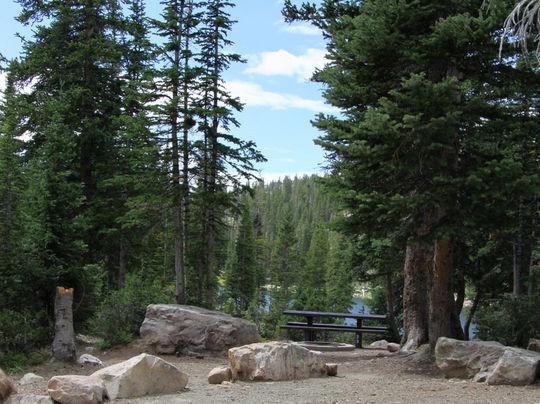 Pet Friendly Moosehorn Campground