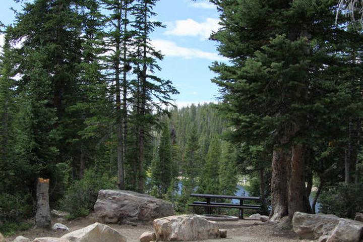 Pet Friendly Moosehorn Campground