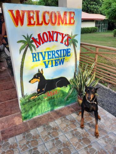 Pet Friendly Monty's Riverside View Resort