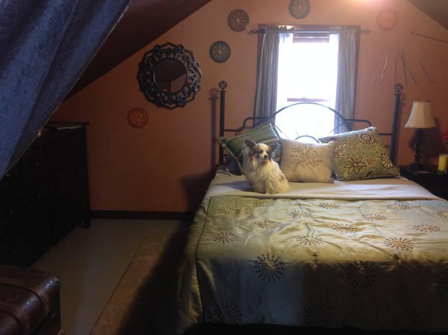 Pet Friendly Farmington Airbnb Rentals