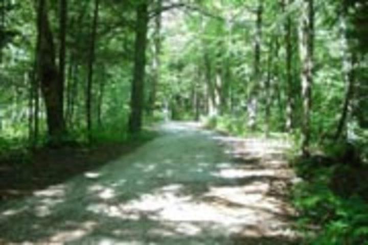 Pet Friendly Point Beach State Forest Campground