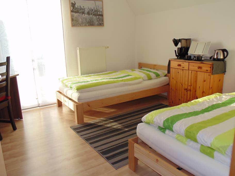 Pet Friendly Helmstadt Airbnb Rentals