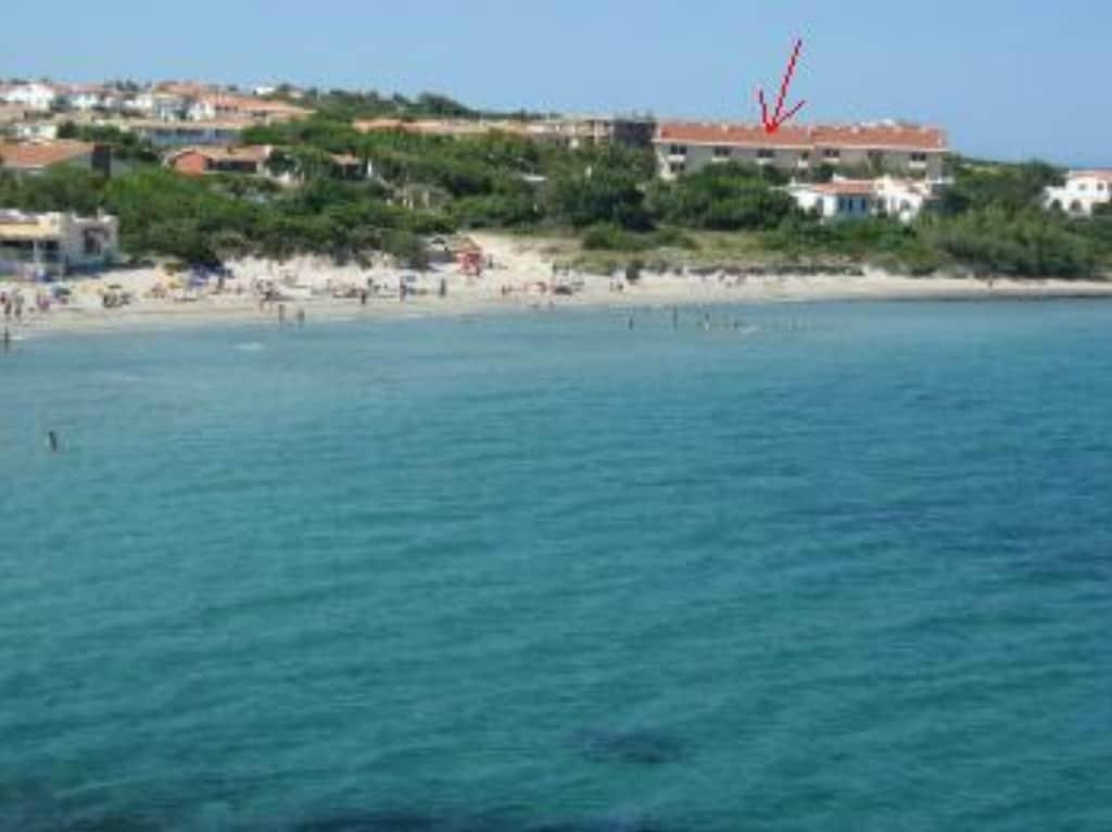 Pet Friendly Seaview Apartment 130m from the Beach