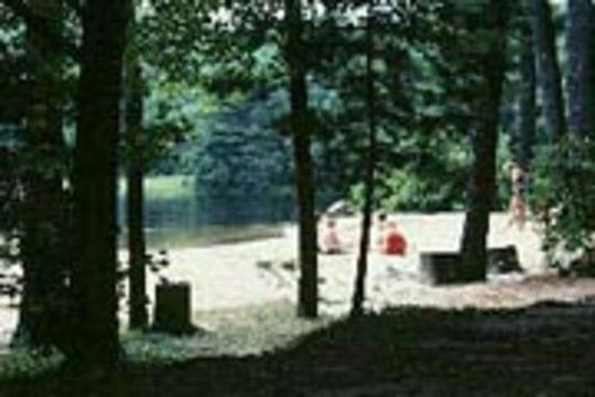 Pet Friendly Pearl Hill State Park Campground