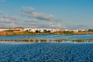 Pet Friendly Campgrounds In Port Aransas Tx Bringfido