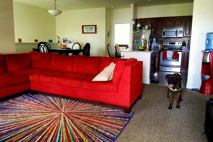 Pet Friendly Plainfield Airbnb Rentals