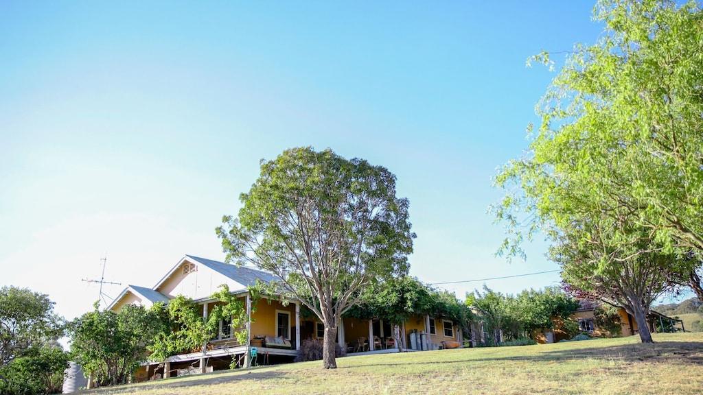 Hillend hotsell pet hotel