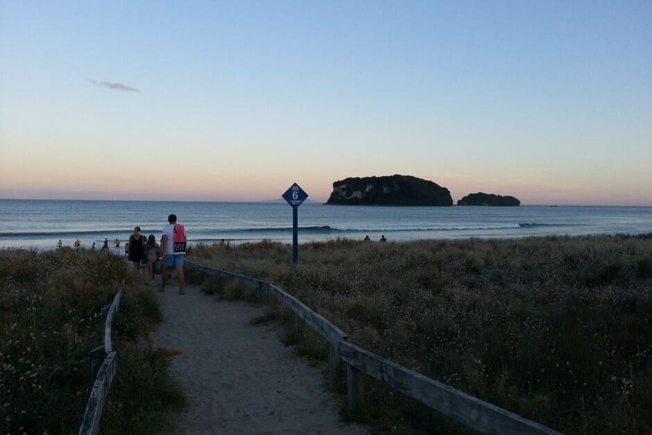 Whangamata Central Pet Policy