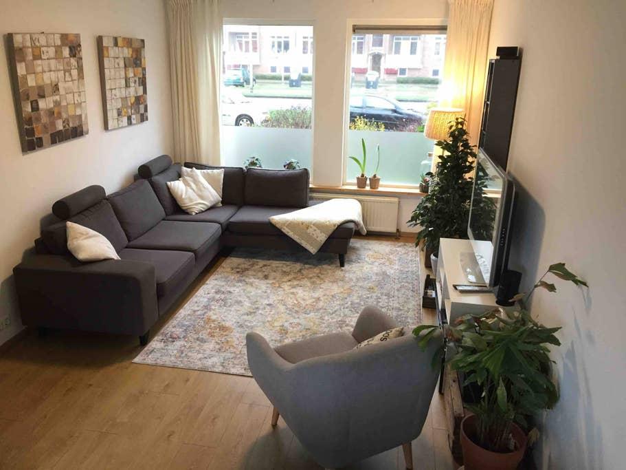 Pet Friendly Arnhem Airbnb Rentals