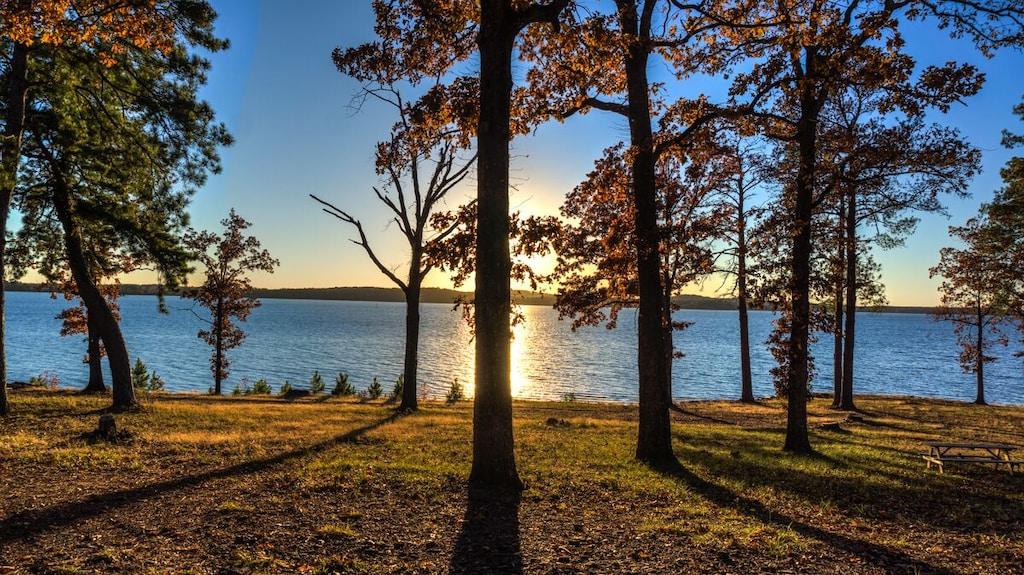 McKenzie Cabin Pet Policy