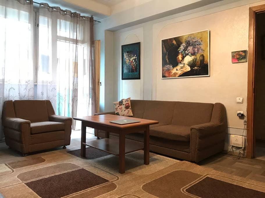 Pet Friendly Yerevan Airbnb Rentals