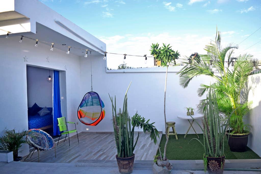 Pet Friendly Cancun Airbnb Rentals