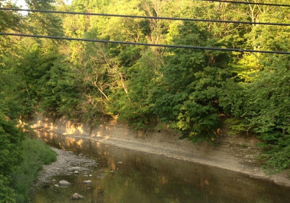 Conneaut Airbnb Rentals Pet Policy