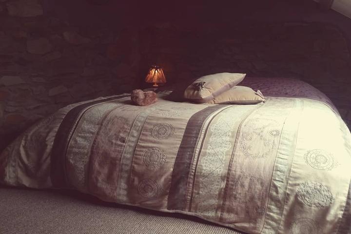 Pet Friendly Bastogne Airbnb Rentals