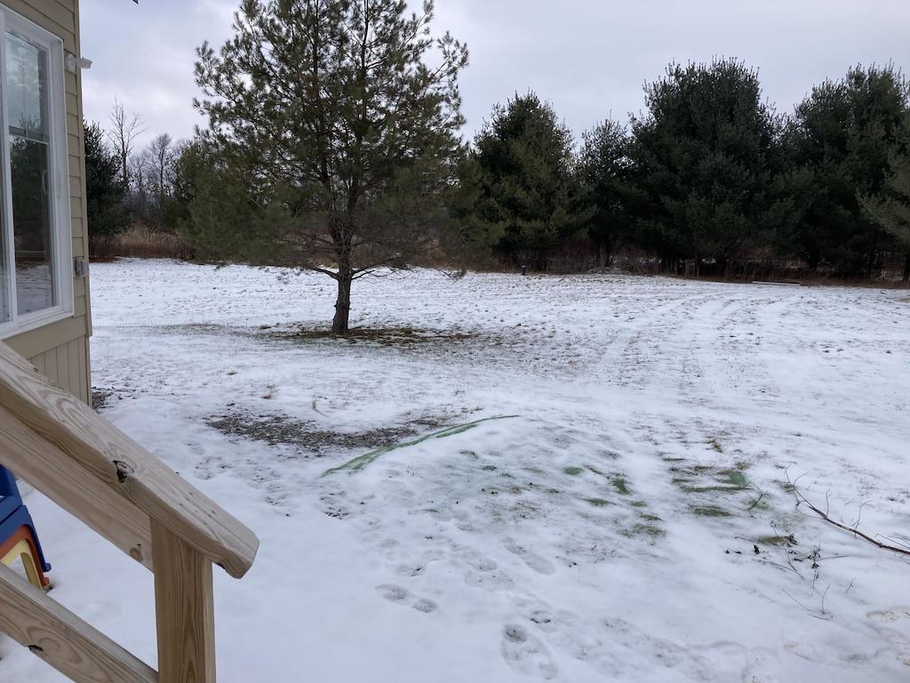 2/1 Richfield Springs Tiny House Near the River Pet Policy