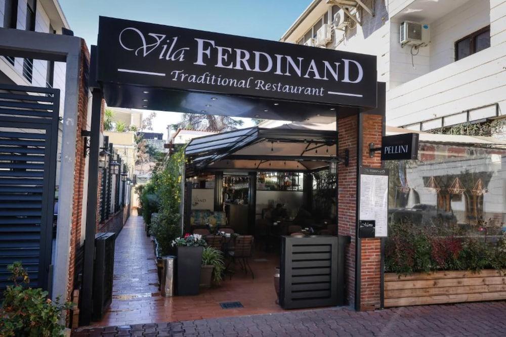 Pet Friendly Vila Ferdinand Modern Rooms in Tirana