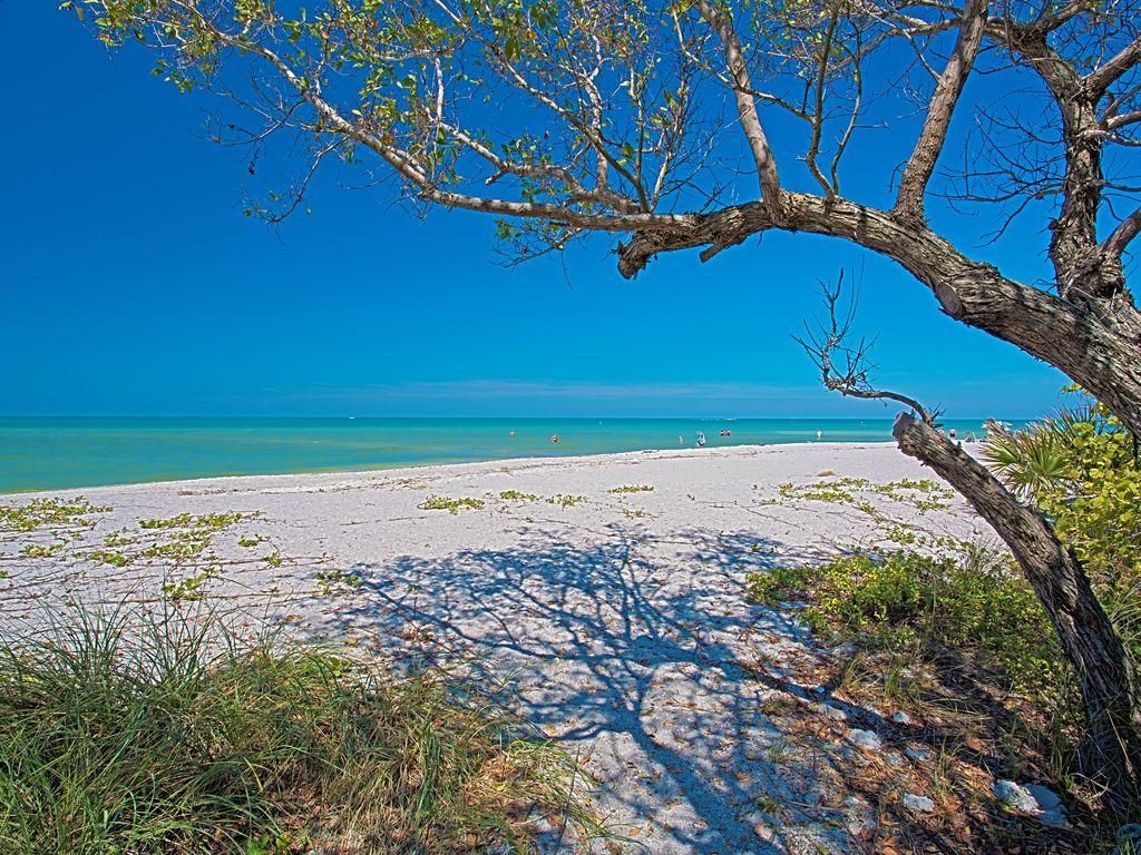 Captiva Island Captiva Rd Pet Policy