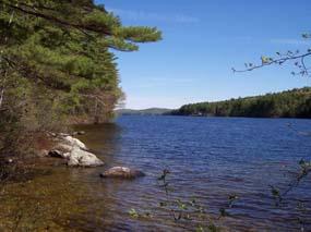 Pleasant Mountain Camping Area Pet Policy Pleasant Mountain Camping Area Pet Policy