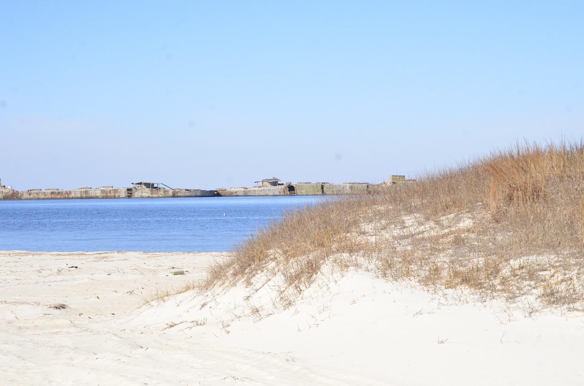 Pet Friendly Kiptopeke State Park Campground, Cabins and Lodge