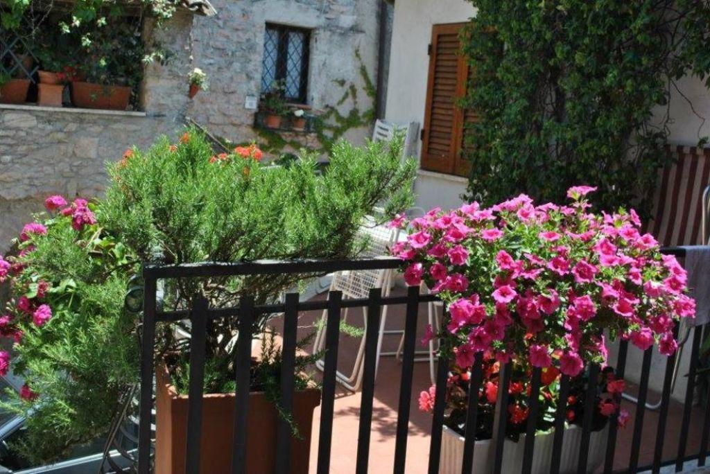 Pet Friendly Your Home in Italy
