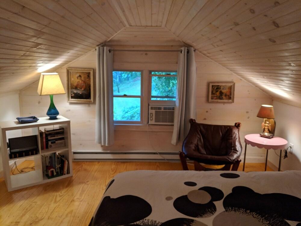 Phoenicia 1917 Waterworks Pet Policy