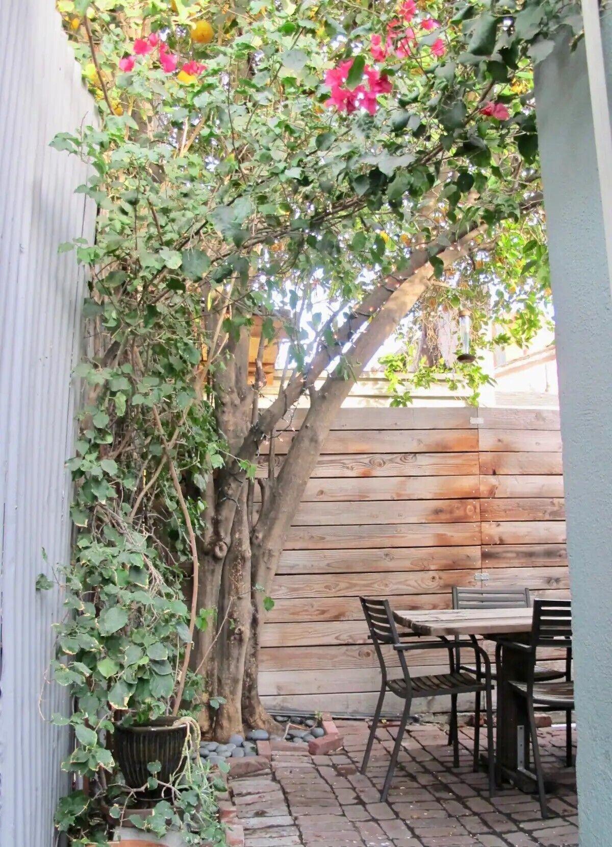 Pet Friendly Noho Arts/Dance District House with Patio