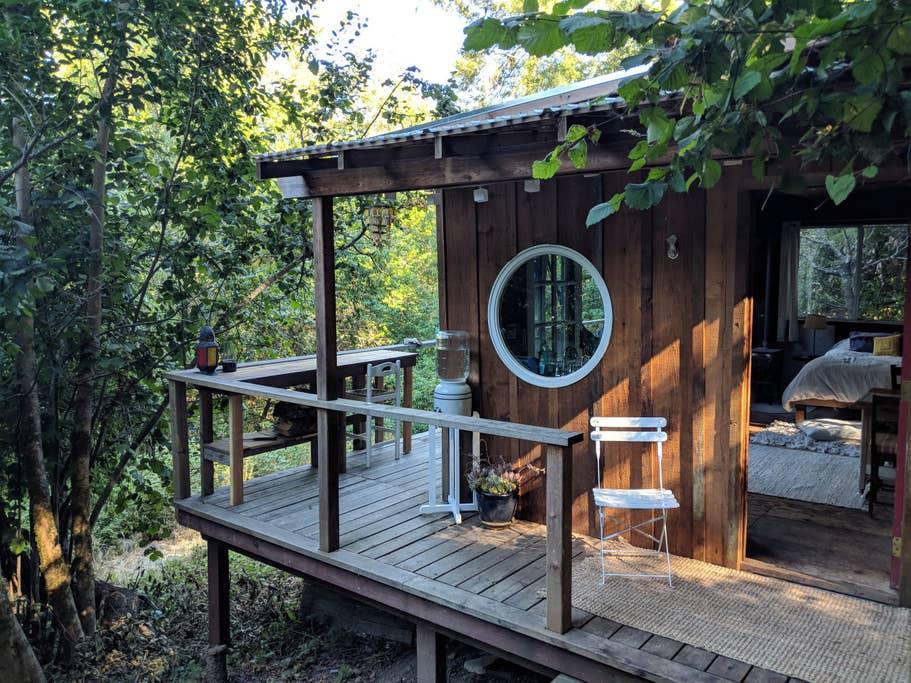 Pet Friendly Bodega Airbnb Rentals