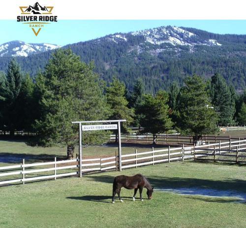 Silver Ridge Ranch Campground Pet Policy