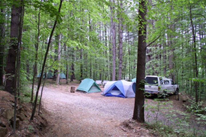 Pet Friendly Country Aire Campground