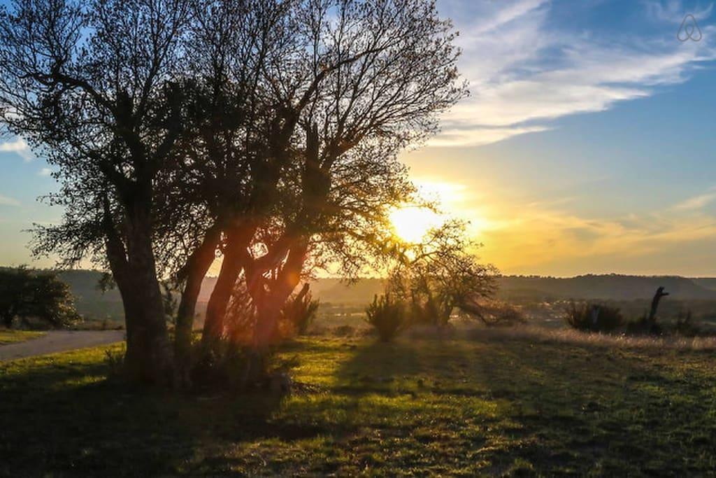 Johnson City Airbnb Rentals Pet Policy