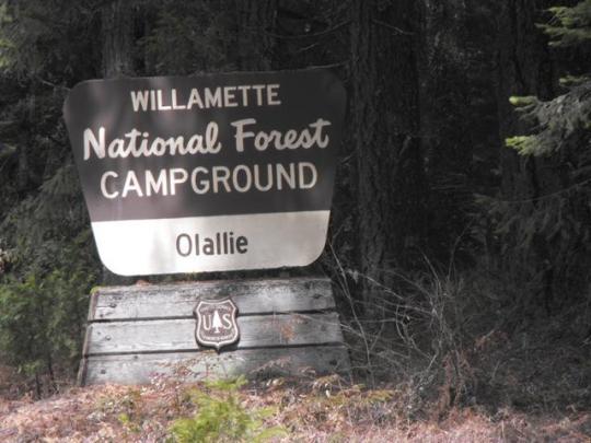 Pet Friendly Olallie Campground