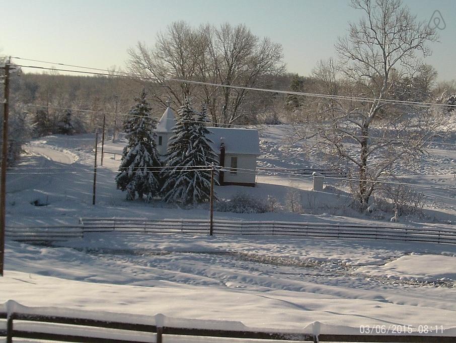 Pet Friendly Hotels In Wheelersburg Oh Bring Fido - 