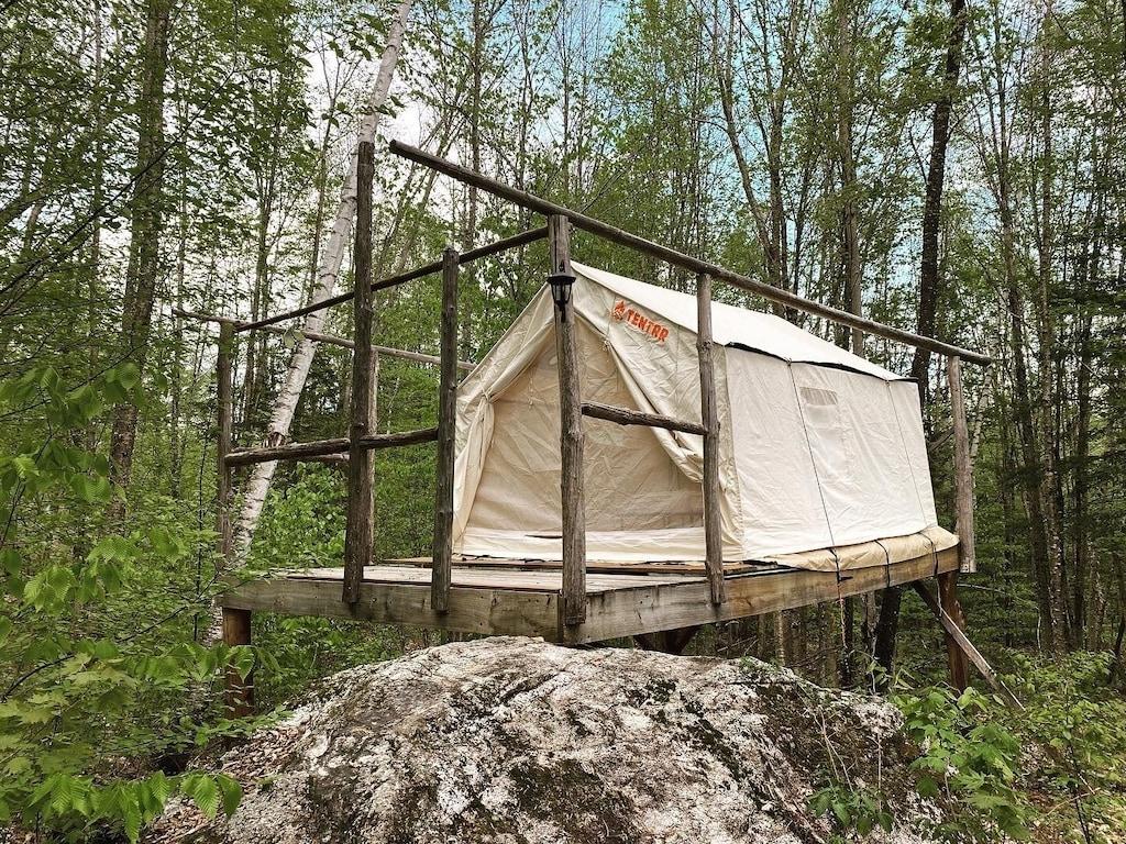 Pet Friendly Unique Lodging in the Wilderness