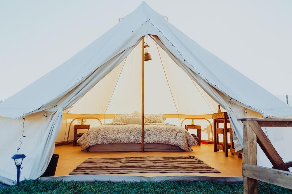 Pet Friendly Guadalupe Valle Glamping