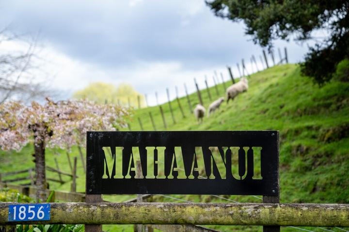 Pet Friendly Mahaanui Quarters Farmstay