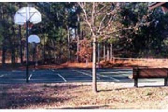 Pet Friendly Piney Grove Campground