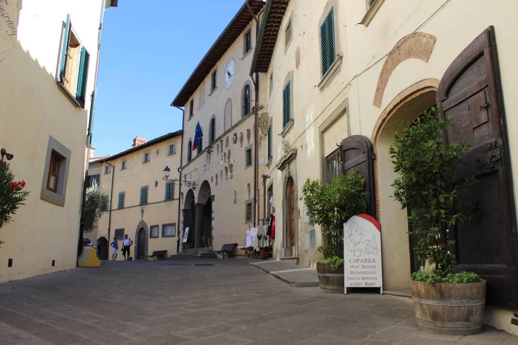 Pet Friendly Radda in Chianti Airbnb Rentals