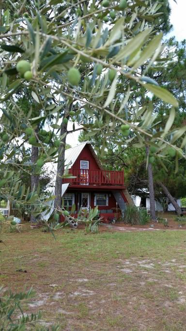 Pet Friendly Vacation Rentals in Brooksville, FL - BringFido