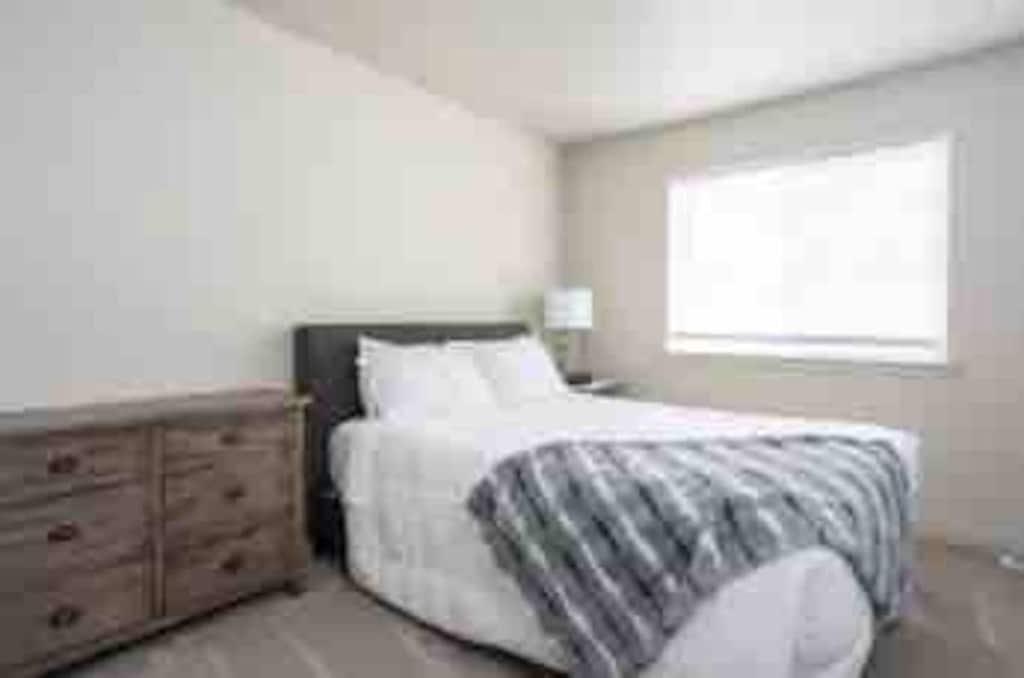 The Modern Albany 120 Pet Policy