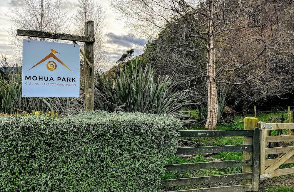 Pet Friendly Mohua Park - Catlins Eco Accommodation