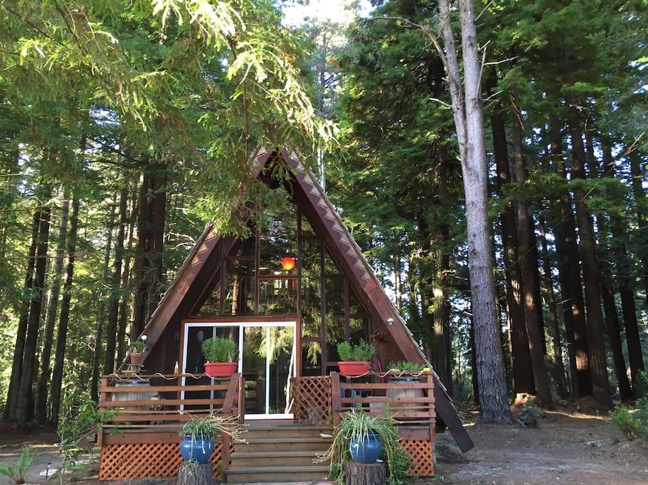 Fort Bragg Airbnb Rentals Pet Policy